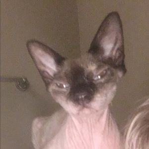 Meet your Posher, Brandie